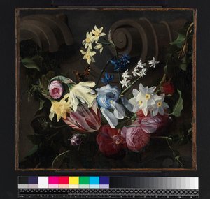 Festoon of Flowers by Daniel Seghers