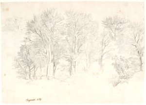 Study of Trees by Dankvart Dreyer