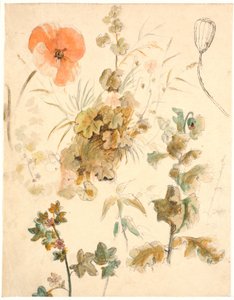Studies of Various Flowers, Including Poppies by Dankvart Dreyer