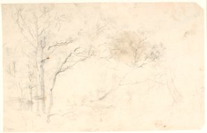 Tree Studies by Dankvart Dreyer
