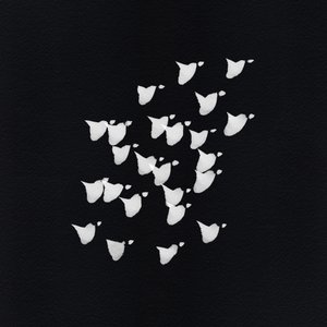 Abstract Bird Flight