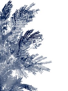 Blue Leaf Canopy by Danushka Abeygoda