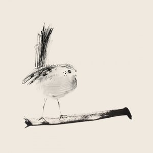 Long-Tailed Tit Drawing