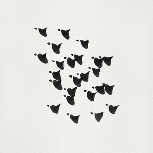 Minimalist Birds Flight by Danushka Abeygoda