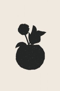 Modern Plant Silhouette by Danushka Abeygoda