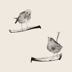 Two Gentle Birds