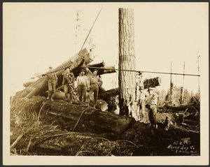 Loggers