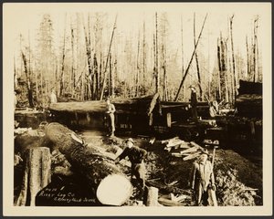 Loggers
