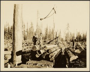 Logging/Timber Scene