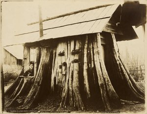Residence of an Early Settler in Washington