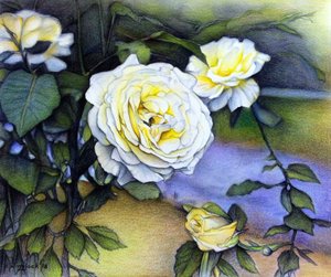 Alberta Roses In Bloom, 2018