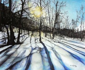 Winter Shadows, 2017