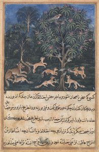 Page from Tales of a Parrot Tuti-nama: Fifth night: The parrot mother cautions by Daswanth