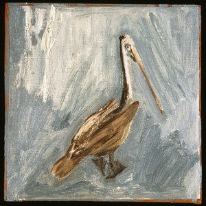 Pelican