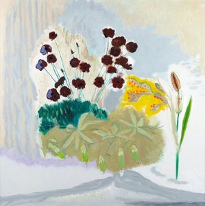 Seedpods and Cosmos