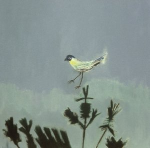 Strange Bird Alighting by David Alan Redpath Michie