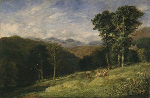 Haymaking near Conway