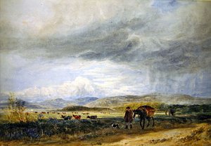 Llugwy Meadows