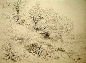 Welsh Landscape by David Cox