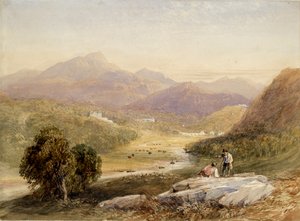 The Vale of Ffestiniog, Merionethshire