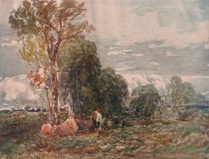The Woodcutter