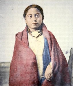 Crow Foot (coloured photo)