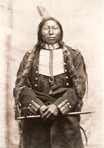 Crow King by David Frances Barry