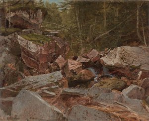 Study, North Conway, New Hampshire, 1851