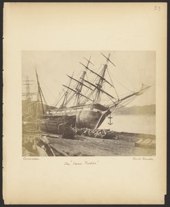 The Jane Tudor by David Johnson