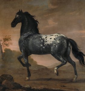 Charles XI’s Horse Blue Tiger, 1673 by David Klöcker Ehrenstrahl