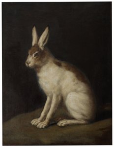 Hare by David Klöcker Ehrenstrahl