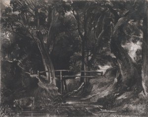 A Dell, Helmingham Park, Suffolk by David Lucas
