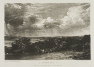 A Summerland by David Lucas