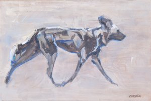 African Painted Dog