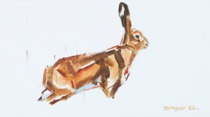 Hare by David Mayer