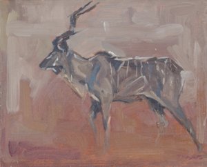 Kudu Bull, 2018