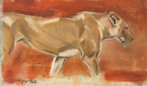 Lioness, 2019