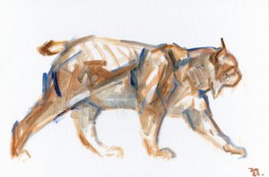 Lynx