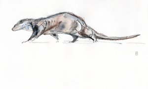 Otter Running, 2022