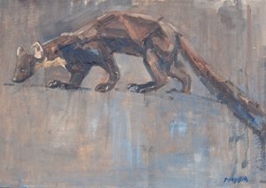 Pine Marten, 2023