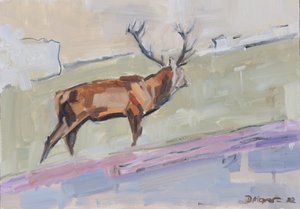 Red Deer Stag 2022