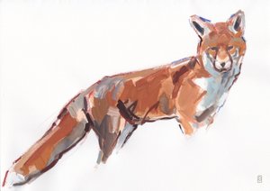 Red Fox