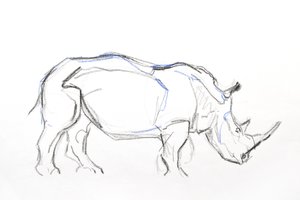 White Rhino, 2021 by David Mayer
