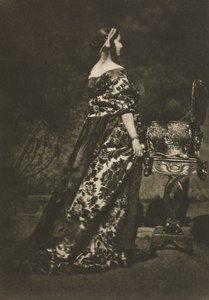 Portrait - The Gown and the Casket by David Octavius Hill