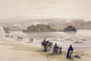 Isle of Graie, Gulf of Akabah, Arabia Petraea, February 27th 1839, plate 108 from Volume III of 