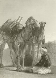 A Group of Camels at Smyrna by David Wilkie