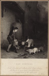Rat hunters by David Wilkie