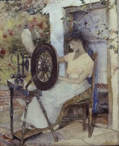 Spinning Wool by David Woodlock