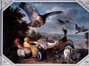 Birds frightened by an eagle
