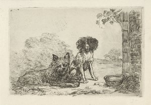 Two Dogs